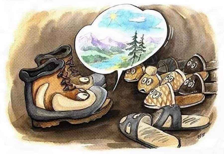 Przygoda w ruchu i na ekranie