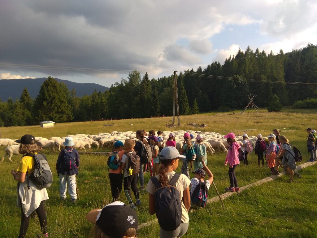 Realizowane atrakcje hala barankowa 1