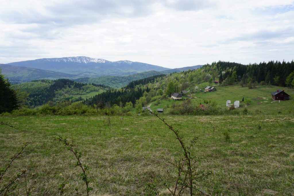Realizowane atrakcje jalowiec