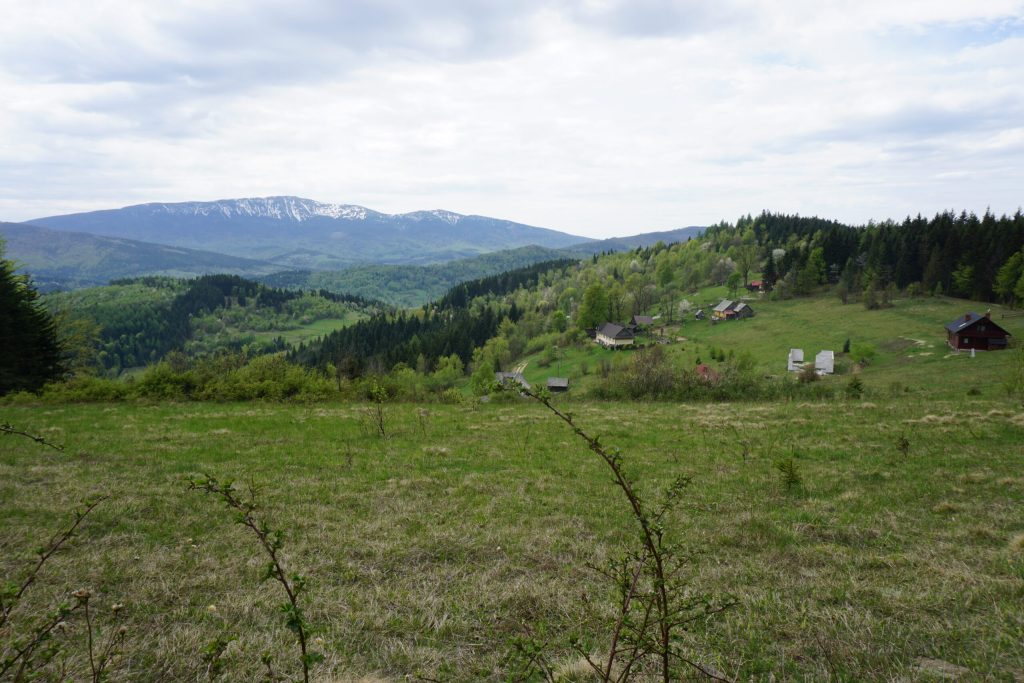 Realizowane atrakcje jalowiec